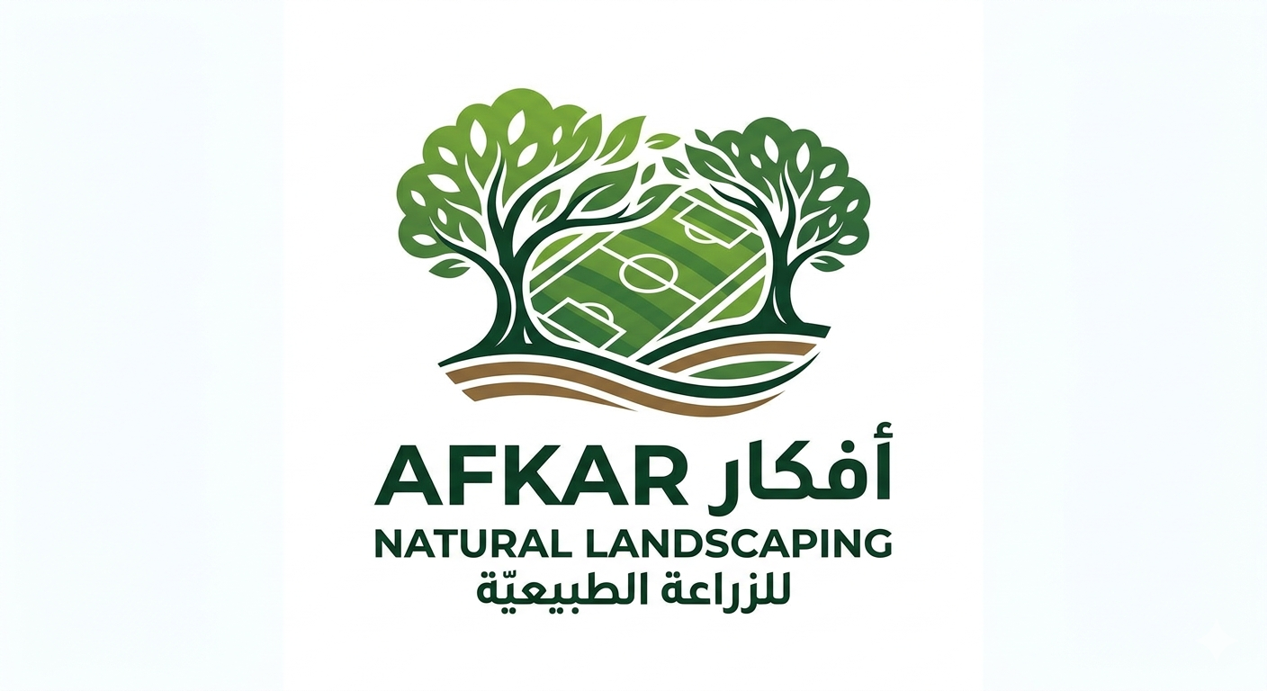 مقال بدون عنوان 6