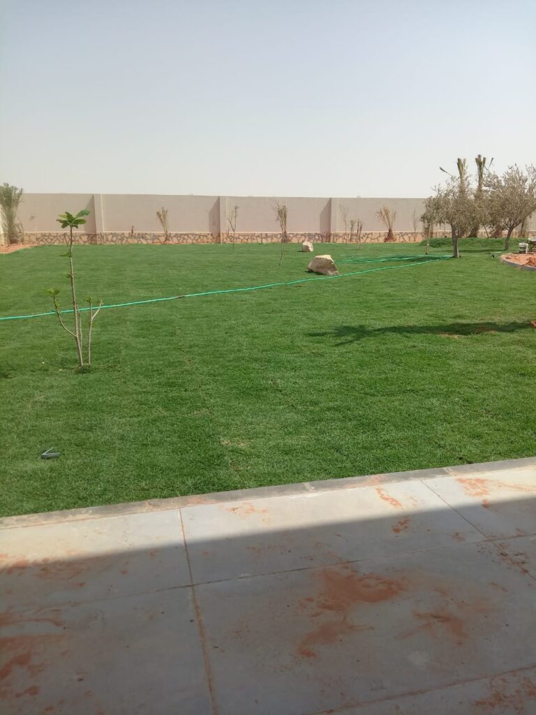 الفرق بين العشب الطبيعي والعشب الصناعي