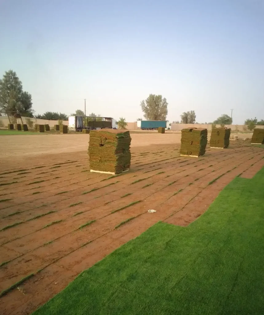 طبليات الثيل الطبيعي وشاحنات التحميل في مزرعة أفكار
