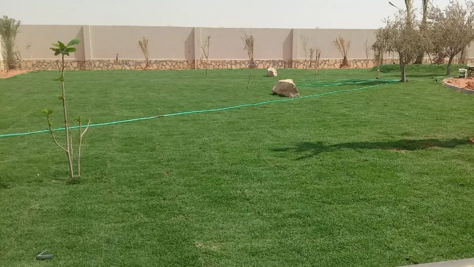 مسطح ثيل طبيعي حديث التركيب — اصفرار الثيل الطبيعي وعلاجه