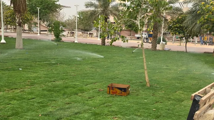 رشاشات الري تعمل على ثيل طبيعي — ري الثيل الطبيعي في الرياض