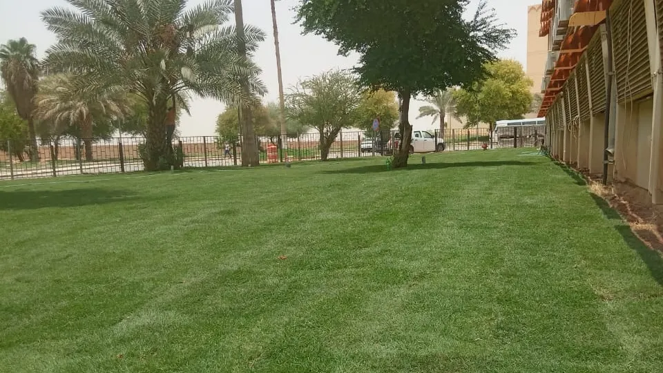 حديقة منزلية بثيل طبيعي وأشجار — تنسيق حديقة صغيرة في الرياض