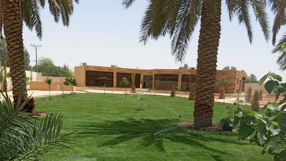 ثيل طبيعي يتحمل الظل: أي نوع ينجح في الأماكن المظللة بحدائق الرياض؟